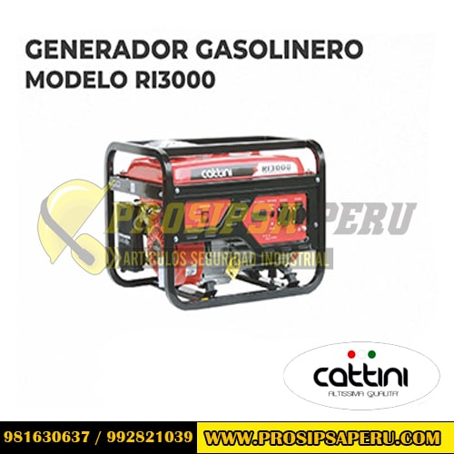 GENERADOR GASOLINERO MODELO RI3000